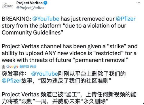 辉瑞高管 爆料新闻视频,揭秘疫苗研发内幕与行业真相  第3张